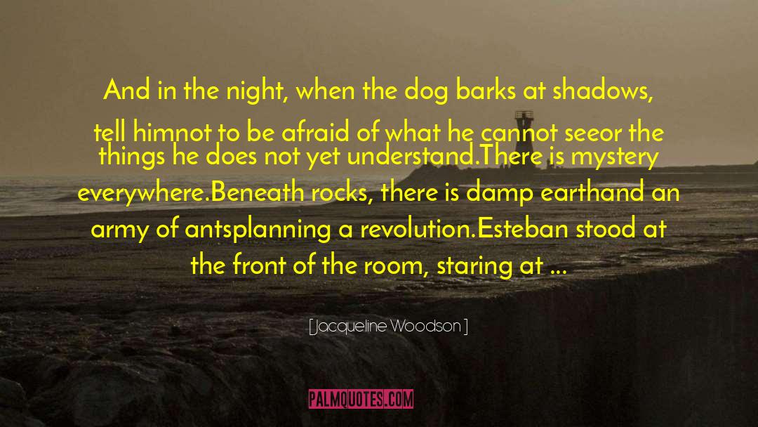 Louisiana Bayou Mystery quotes by Jacqueline Woodson