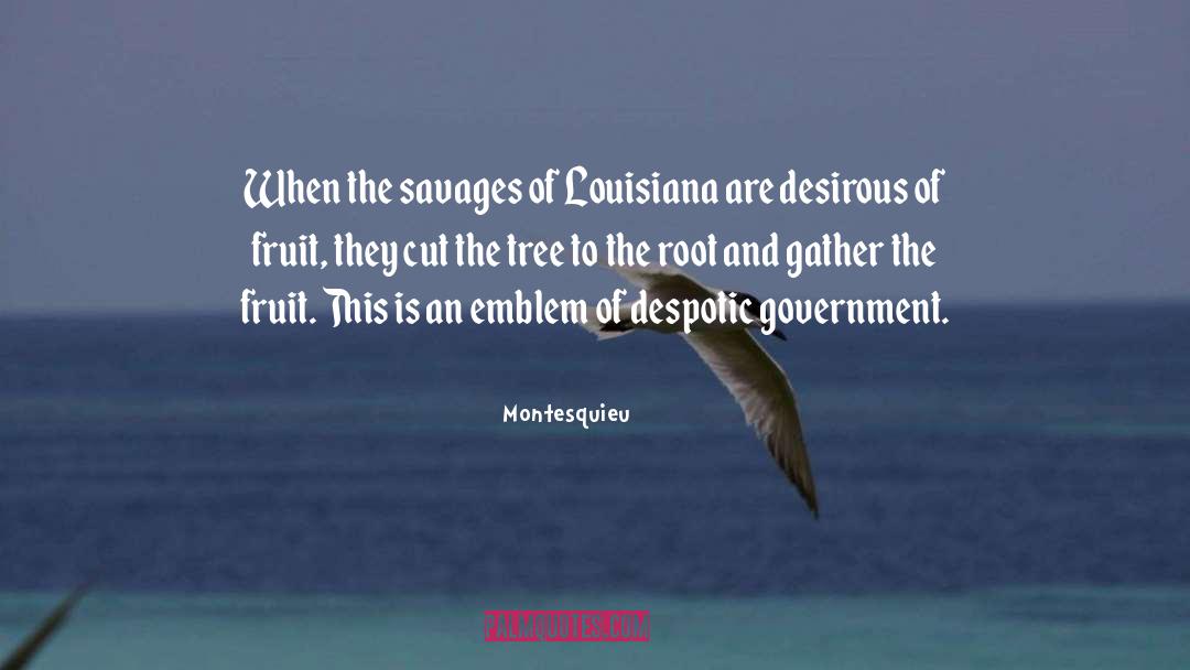 Louisiana quotes by Montesquieu