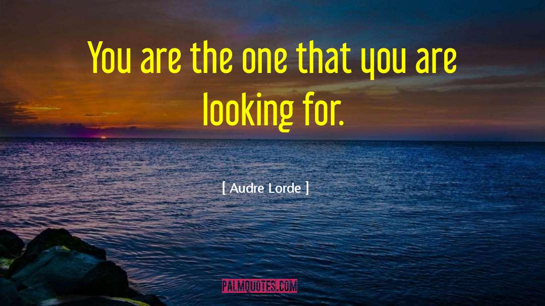 Lourdes quotes by Audre Lorde