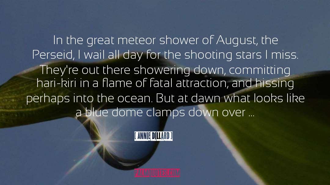 Louring One Out For August quotes by Annie Dillard