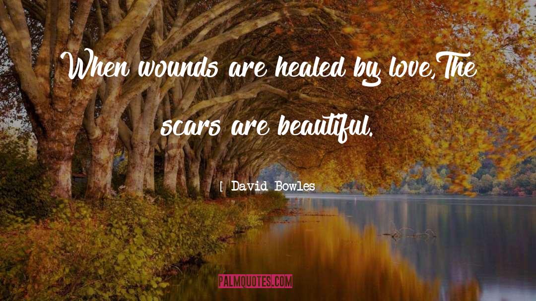 Love Addiction quotes by David Bowles