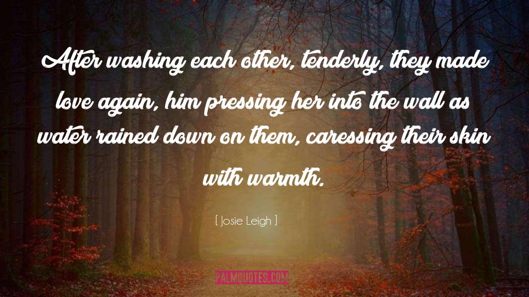 Love Again quotes by Josie Leigh