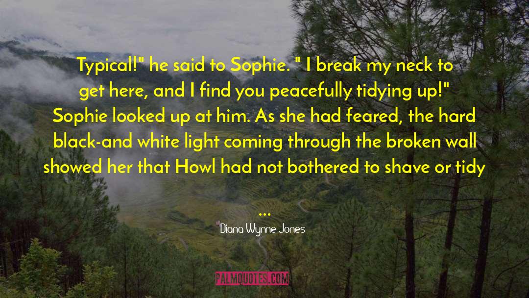 Love And Broken Heart quotes by Diana Wynne Jones