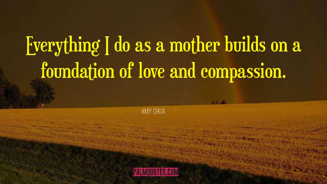 Love And Compassion quotes by Amy Chua