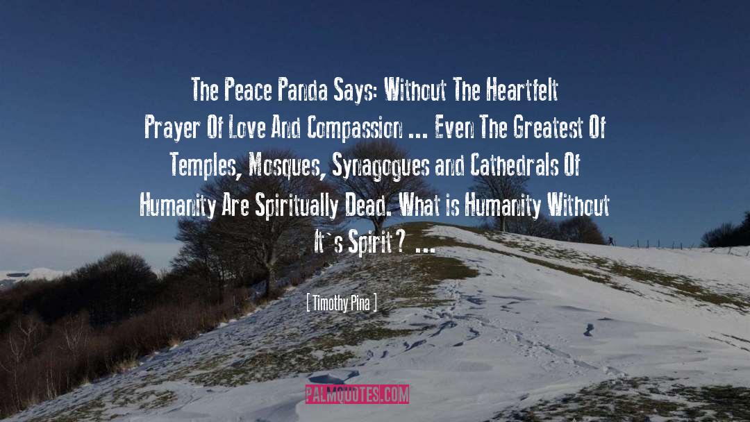 Love And Compassion quotes by Timothy Pina