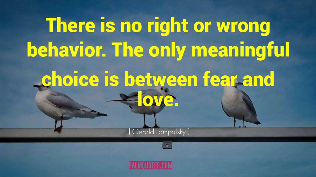 Love And Fear quotes by Gerald Jampolsky