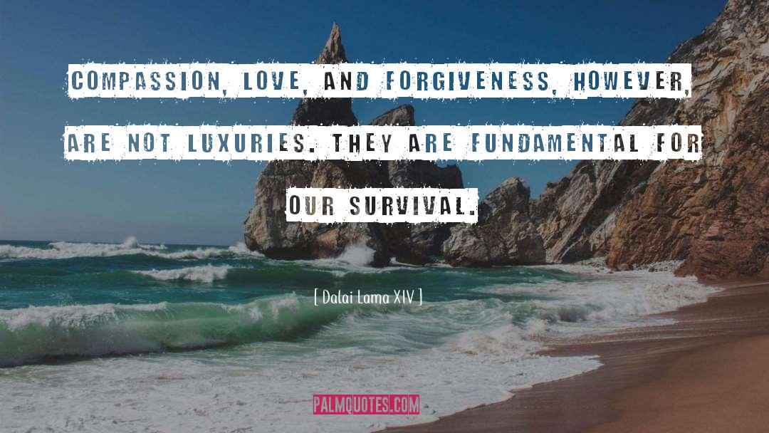 Love And Forgiveness quotes by Dalai Lama XIV