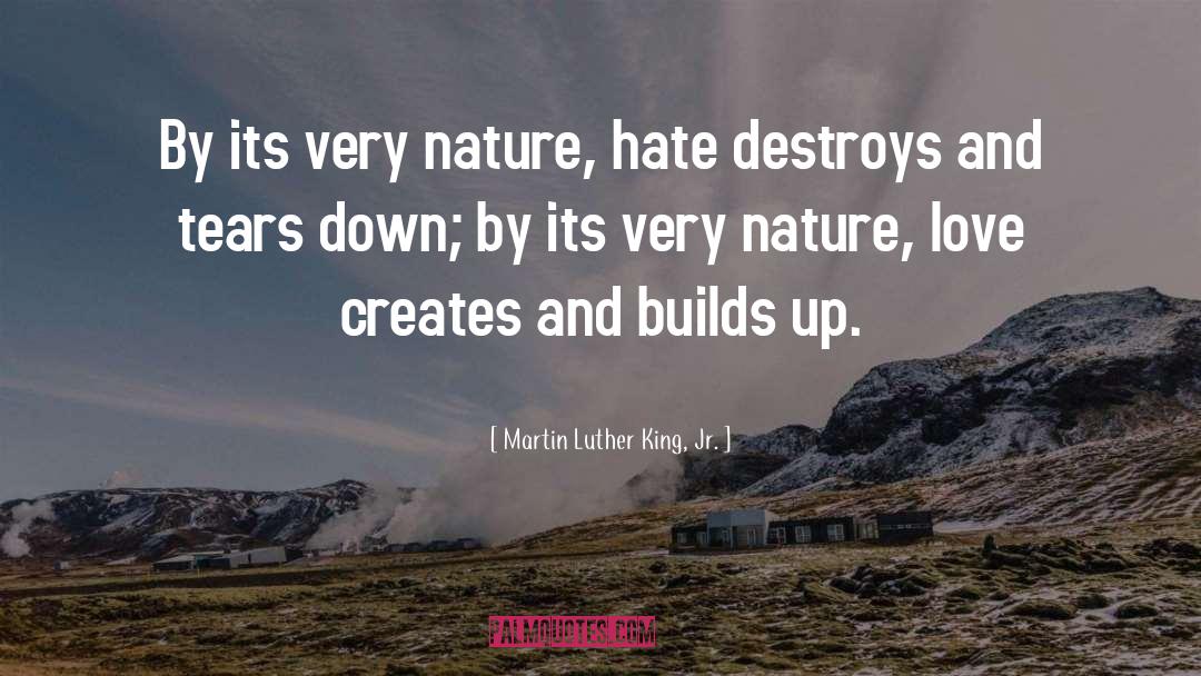 Love And Hate quotes by Martin Luther King, Jr.