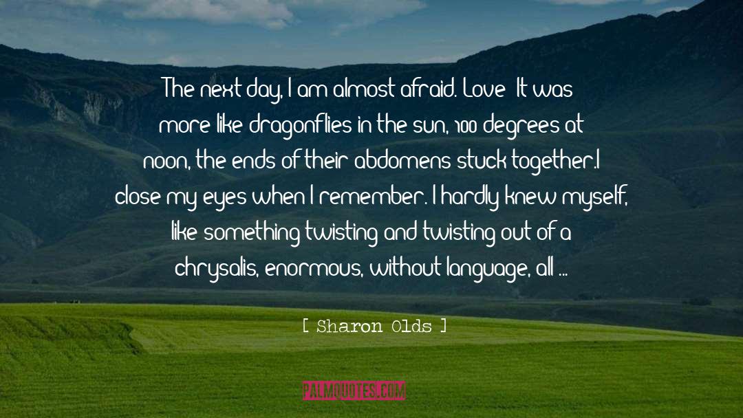 Love And Holding Hands quotes by Sharon Olds