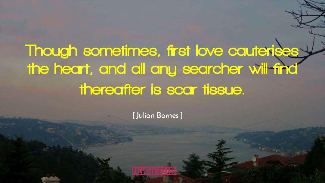 Love And Smiles quotes by Julian Barnes