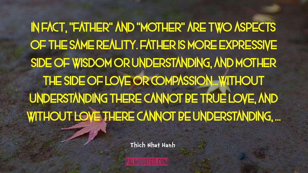 Love And Understanding quotes by Thich Nhat Hanh