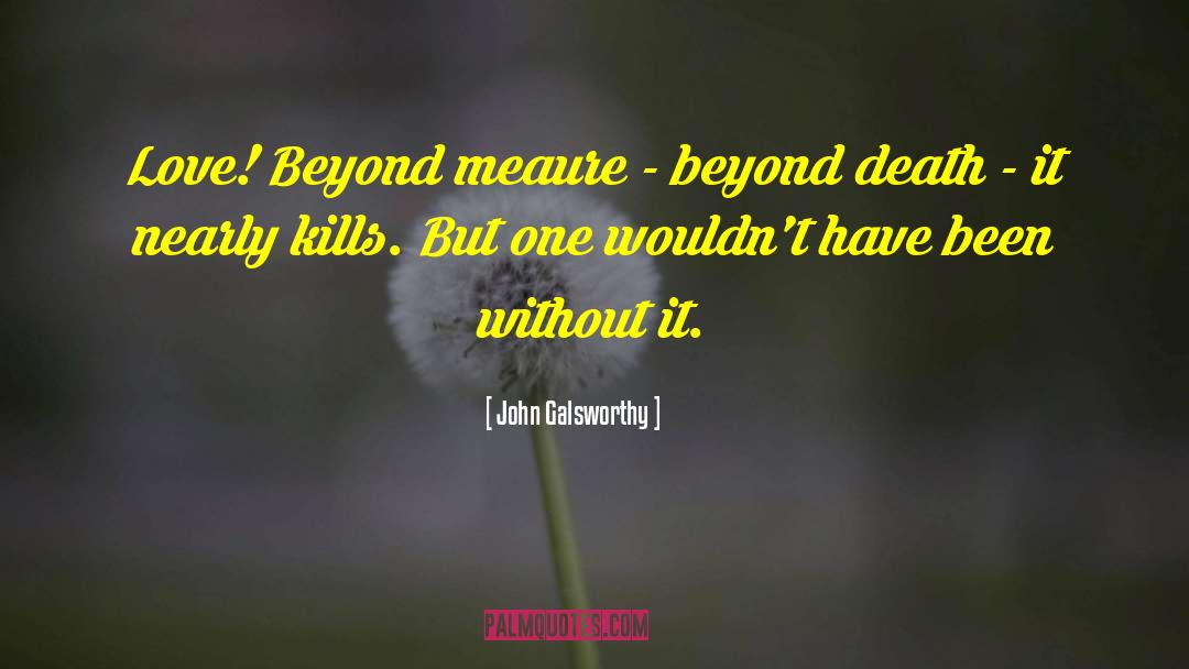 Love Beyond Death quotes by John Galsworthy