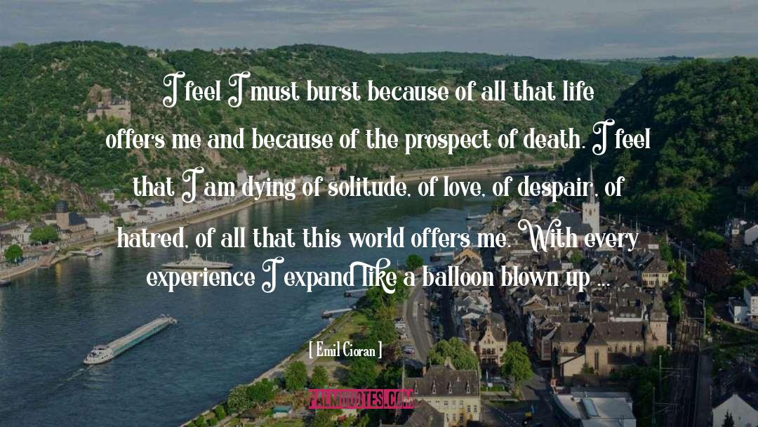 Love Beyond Death quotes by Emil Cioran