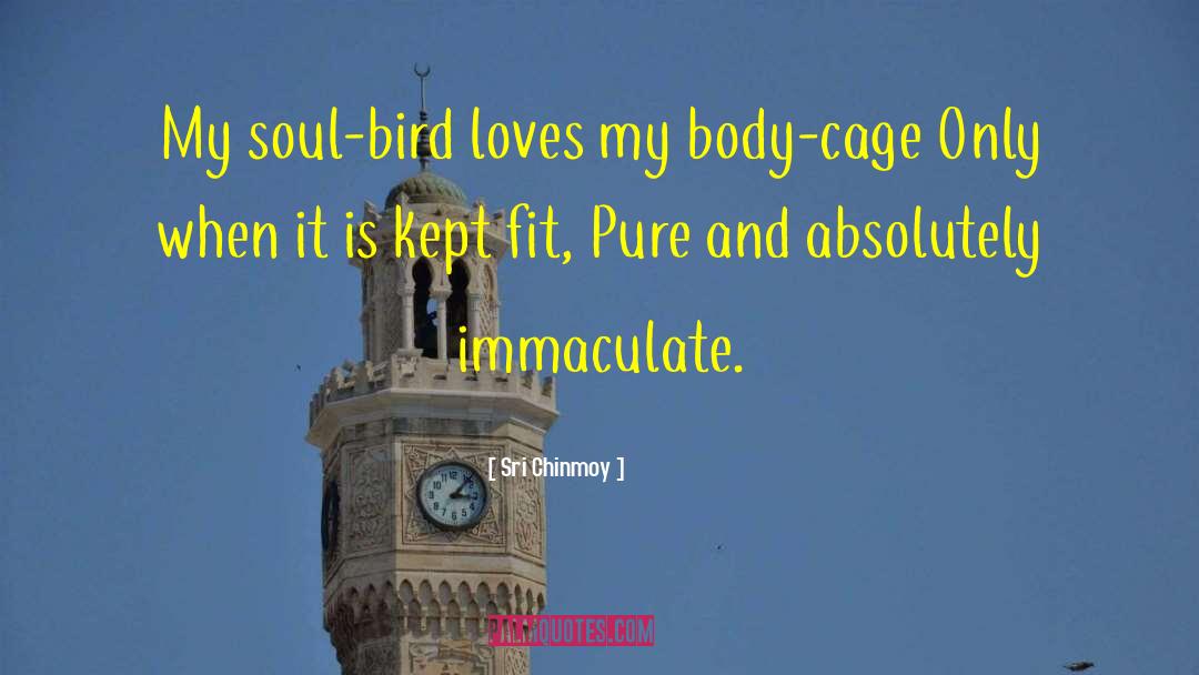 Love Bird quotes by Sri Chinmoy