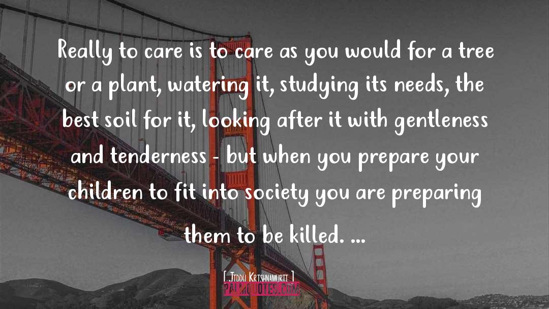 Love Care Smite Miranda quotes by Jiddu Krishnamurti