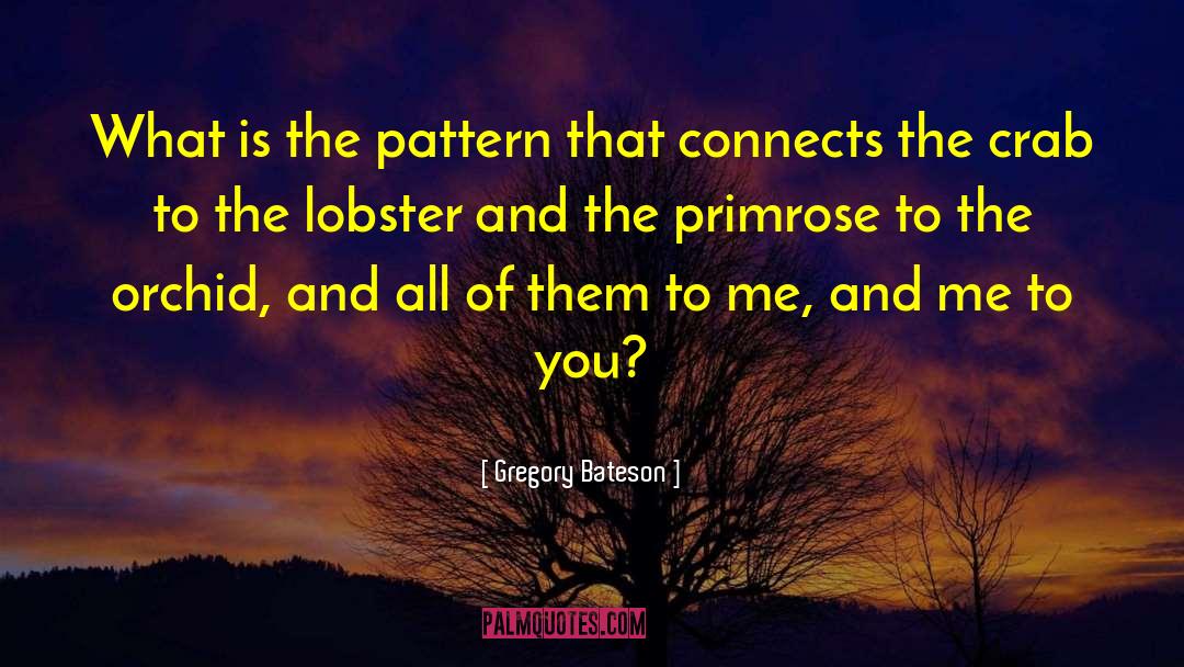 Love Connects All quotes by Gregory Bateson