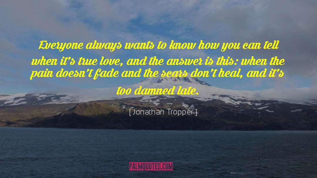 Love Doesn Hurt quotes by Jonathan Tropper