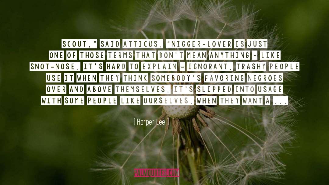 Love Doesn Hurt quotes by Harper Lee