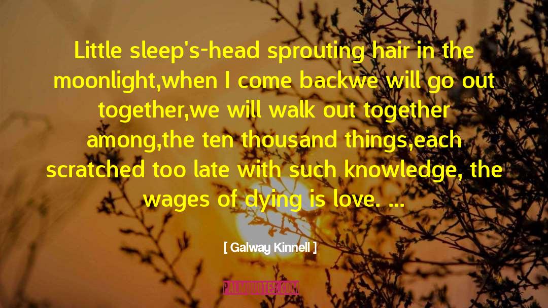 Love Dying quotes by Galway Kinnell
