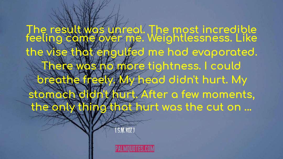 Love Feeling Hurt Pain quotes by S.M. Koz