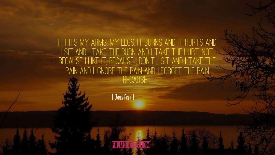 Love Feeling Hurt Pain quotes by James Frey