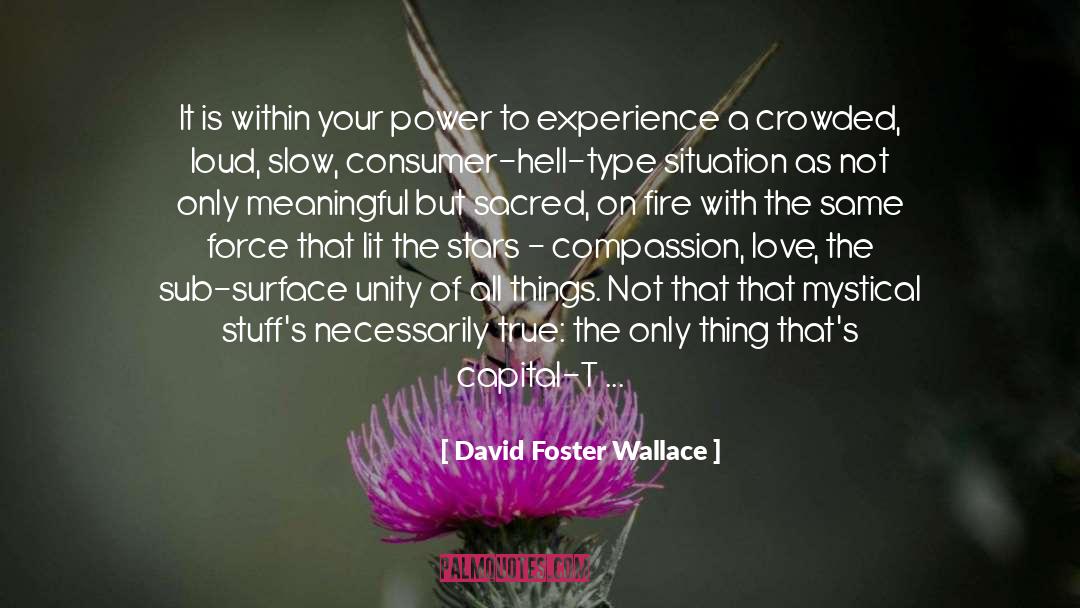 Love Fire quotes by David Foster Wallace