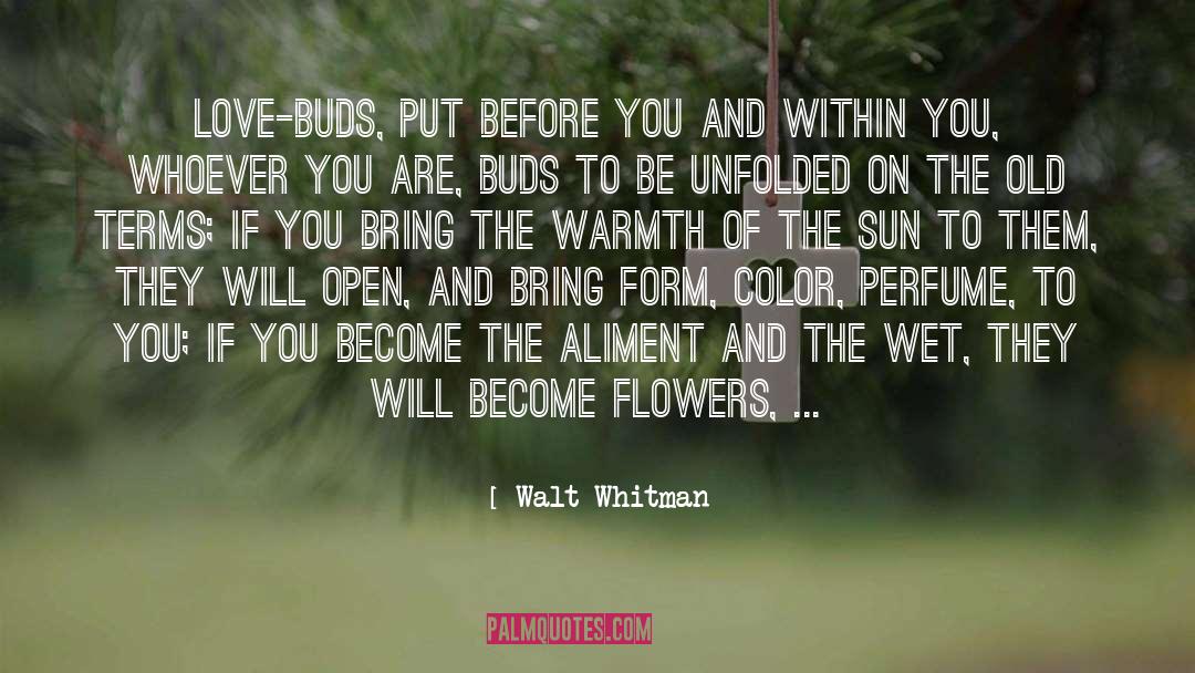 Love Flower quotes by Walt Whitman