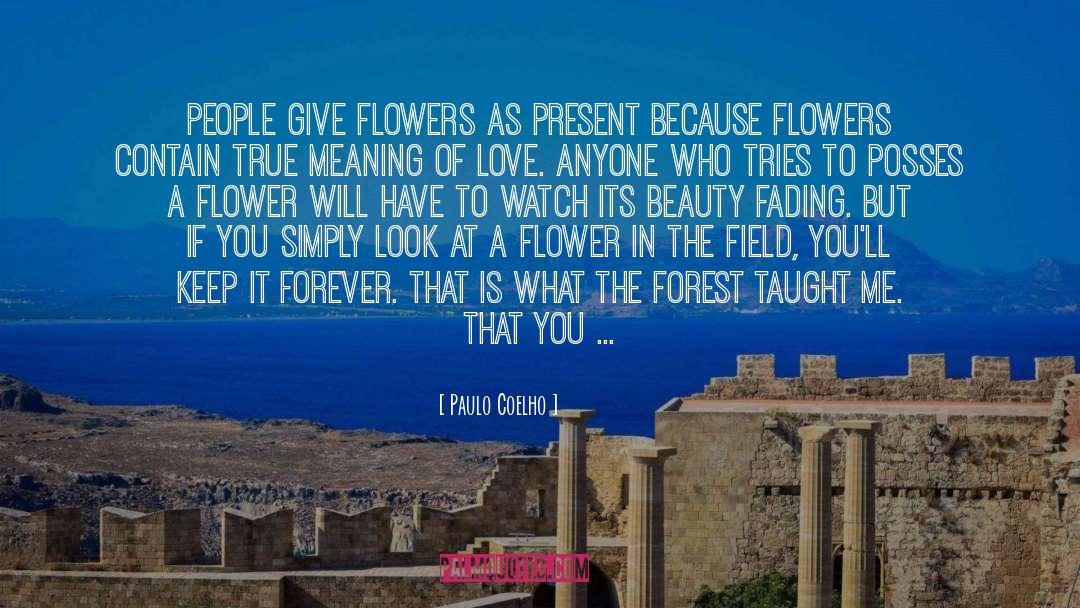 Love Flower quotes by Paulo Coelho