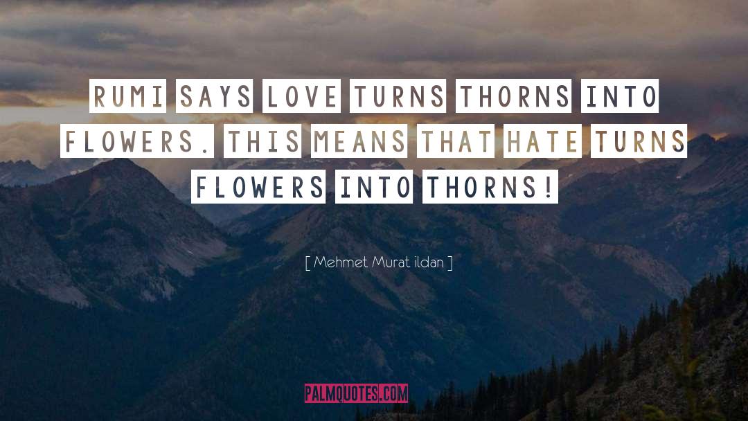 Love Flower quotes by Mehmet Murat Ildan
