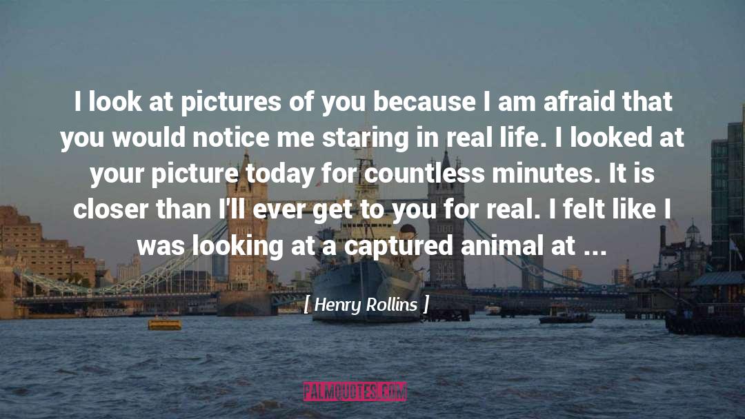 Love For Animal quotes by Henry Rollins