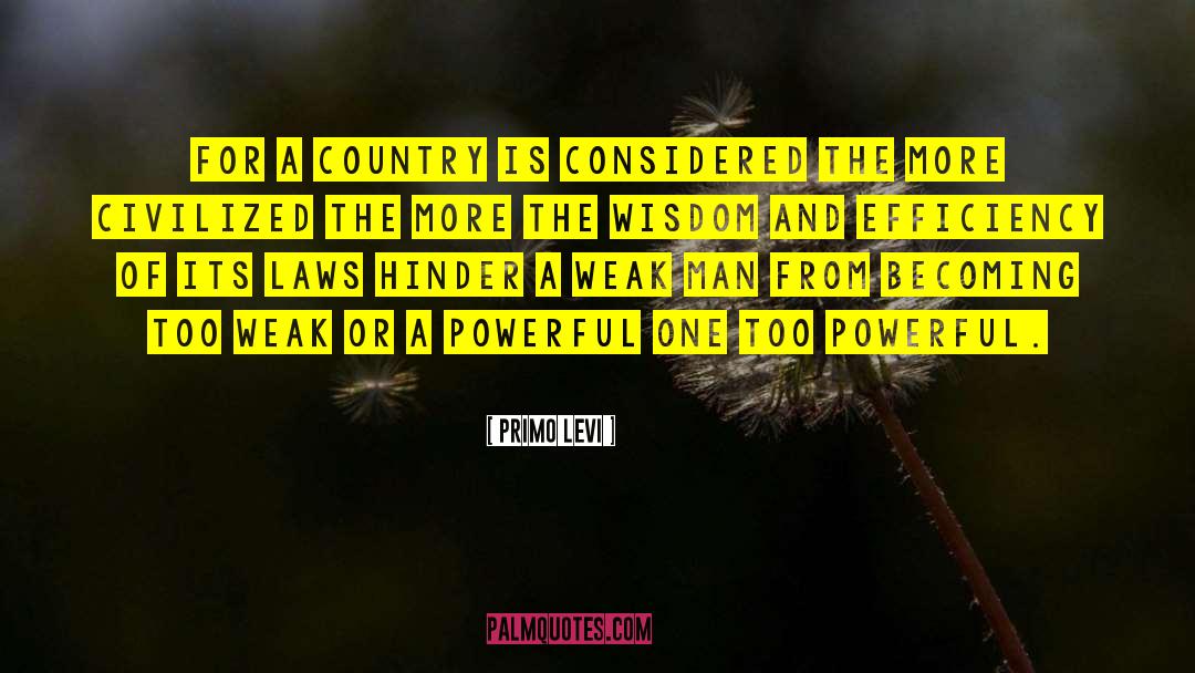 Love For Country quotes by Primo Levi