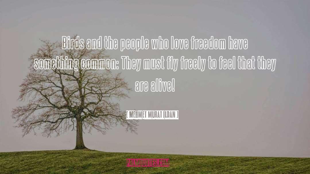 Love Freedom quotes by Mehmet Murat Ildan