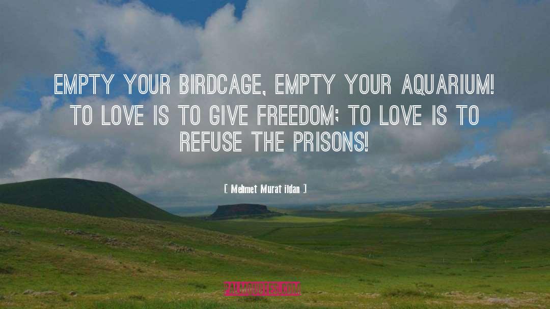 Love Freedom quotes by Mehmet Murat Ildan