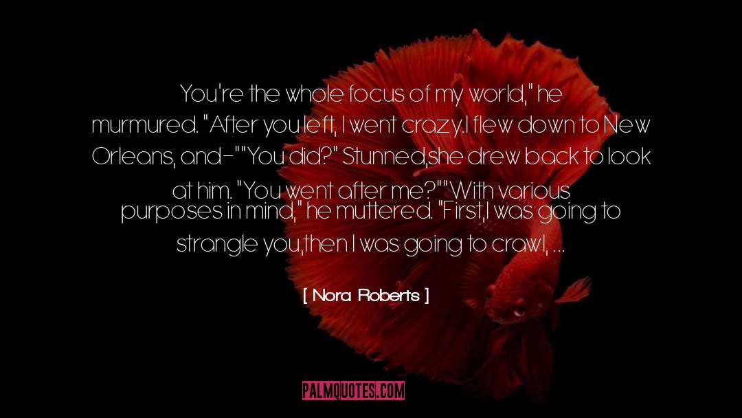 Love From First Sight quotes by Nora Roberts