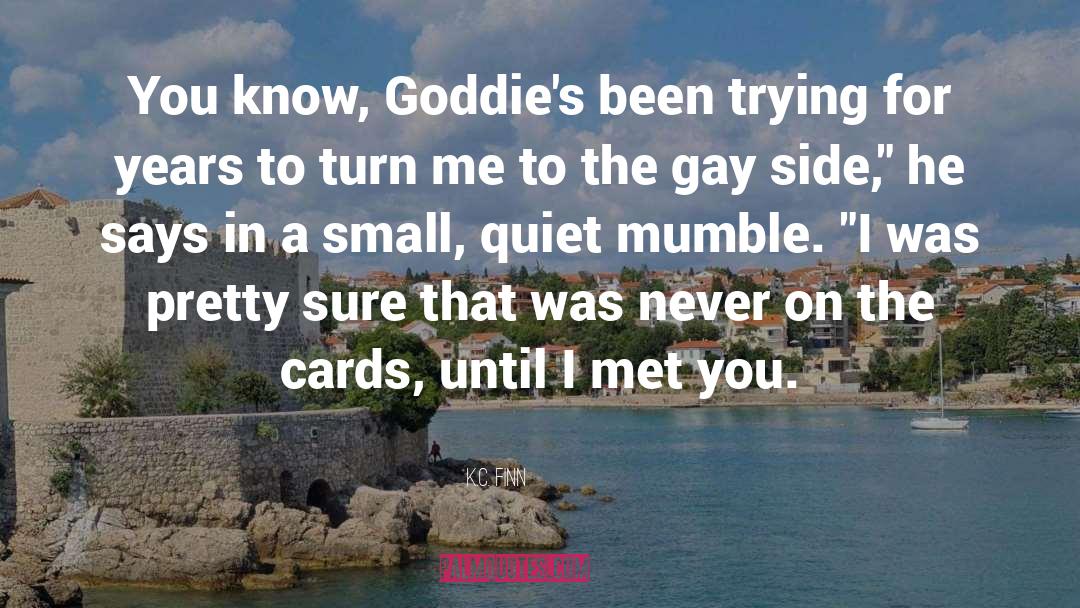 Love Gay Couple Gay Romance quotes by K.C. Finn