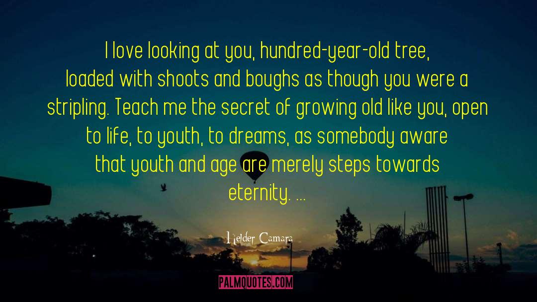 Love Growing Old Together quotes by Helder Camara