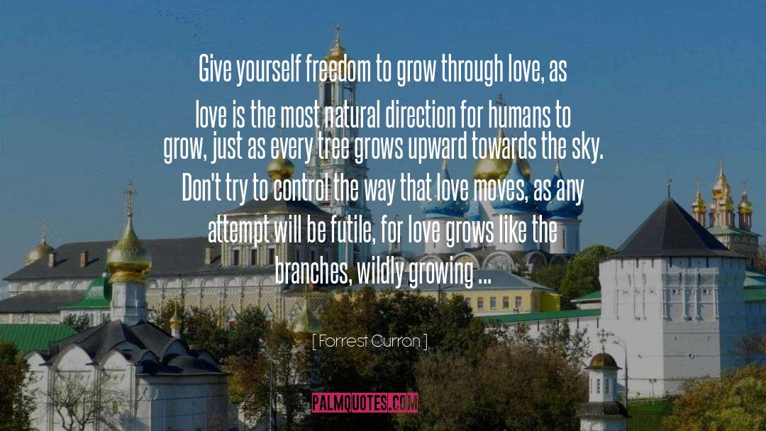 Love Grows quotes by Forrest Curran