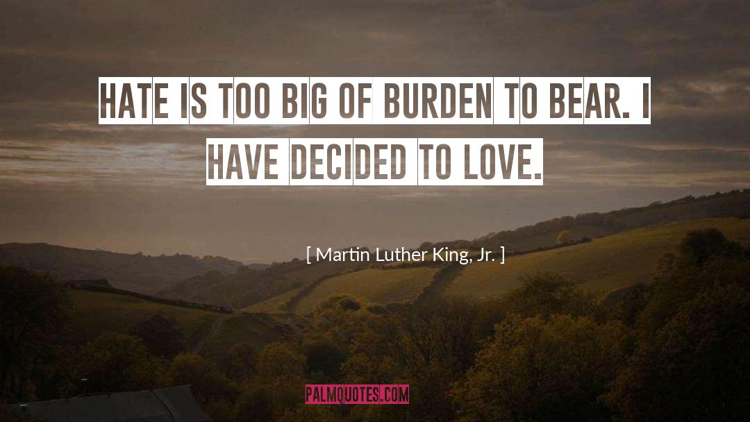 Love Hate Relationship quotes by Martin Luther King, Jr.
