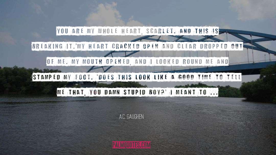 Love Heartache quotes by A.C. Gaughen