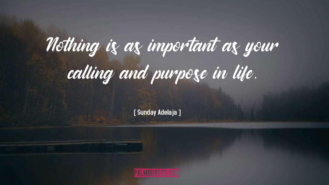 Love In Life quotes by Sunday Adelaja