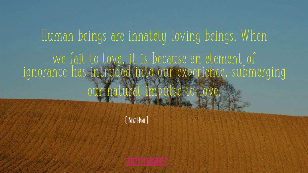 Love Inspired quotes by Nhat Hanh