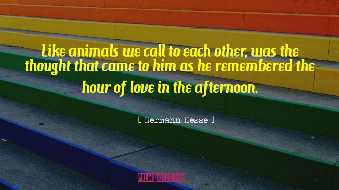 Love Inspired quotes by Hermann Hesse