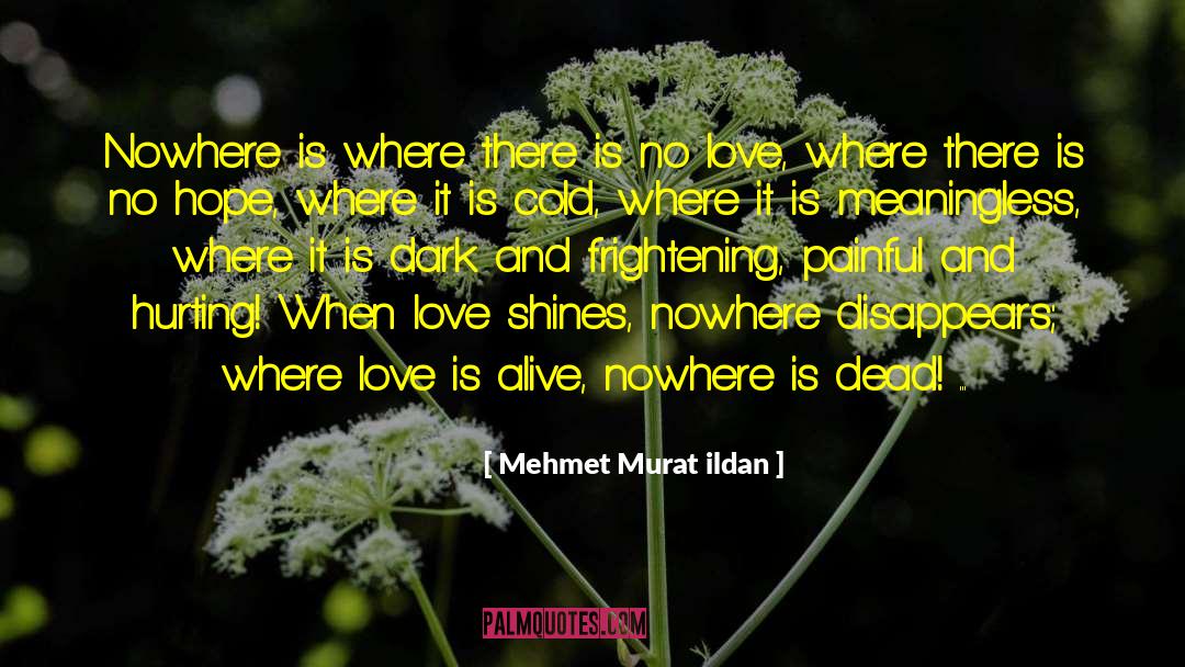 Love Is Alive quotes by Mehmet Murat Ildan