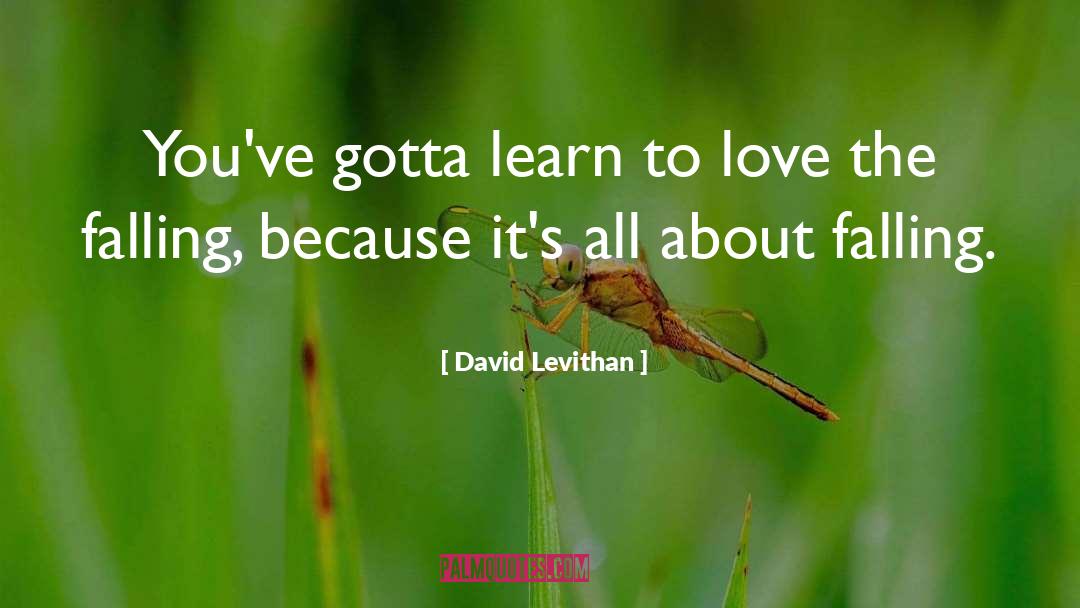 Love Is Amazing quotes by David Levithan