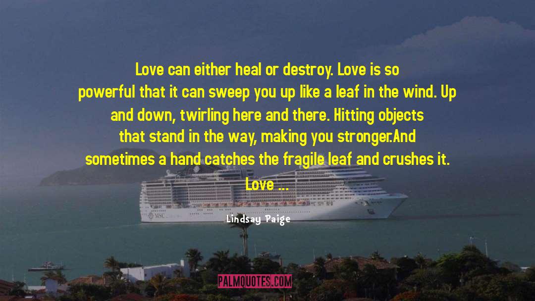 Love Is Beautiful quotes by Lindsay Paige