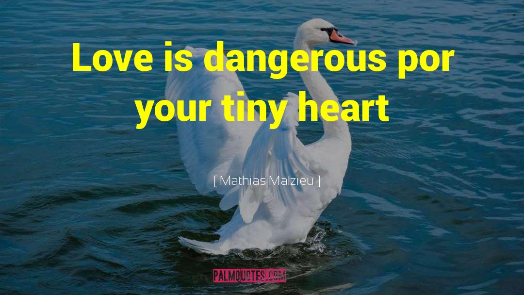Love Is Dangerous quotes by Mathias Malzieu
