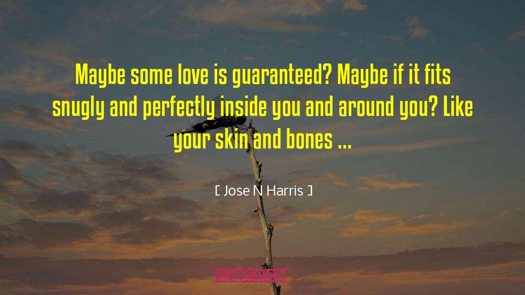 Love Is Dangerous quotes by Jose N Harris