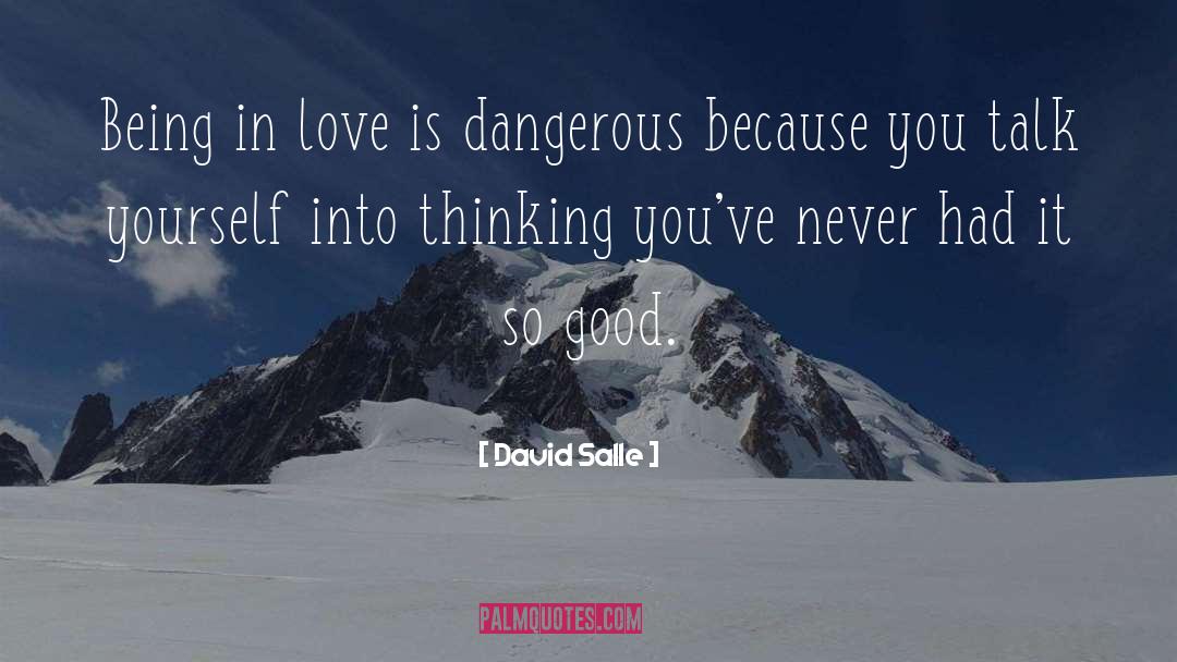 Love Is Dangerous quotes by David Salle