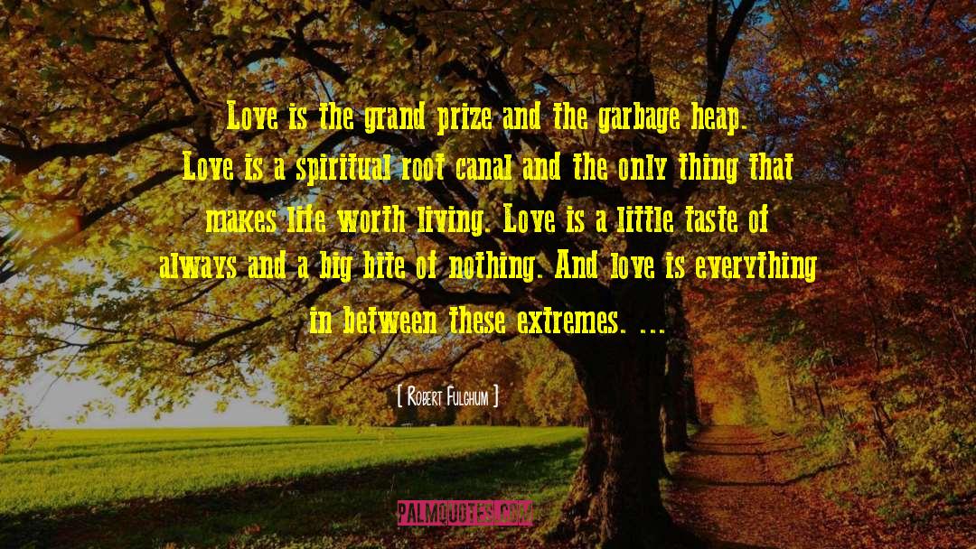 Love Is Everything quotes by Robert Fulghum