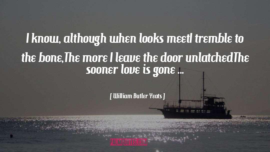 Love Is Gone quotes by William Butler Yeats